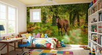 Wild horse peel and stick wallpaper New Forest Nomad nature escape scene.
