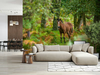 Brown foal wallpaper for walls New Forest Nomad serene autumn woods look.