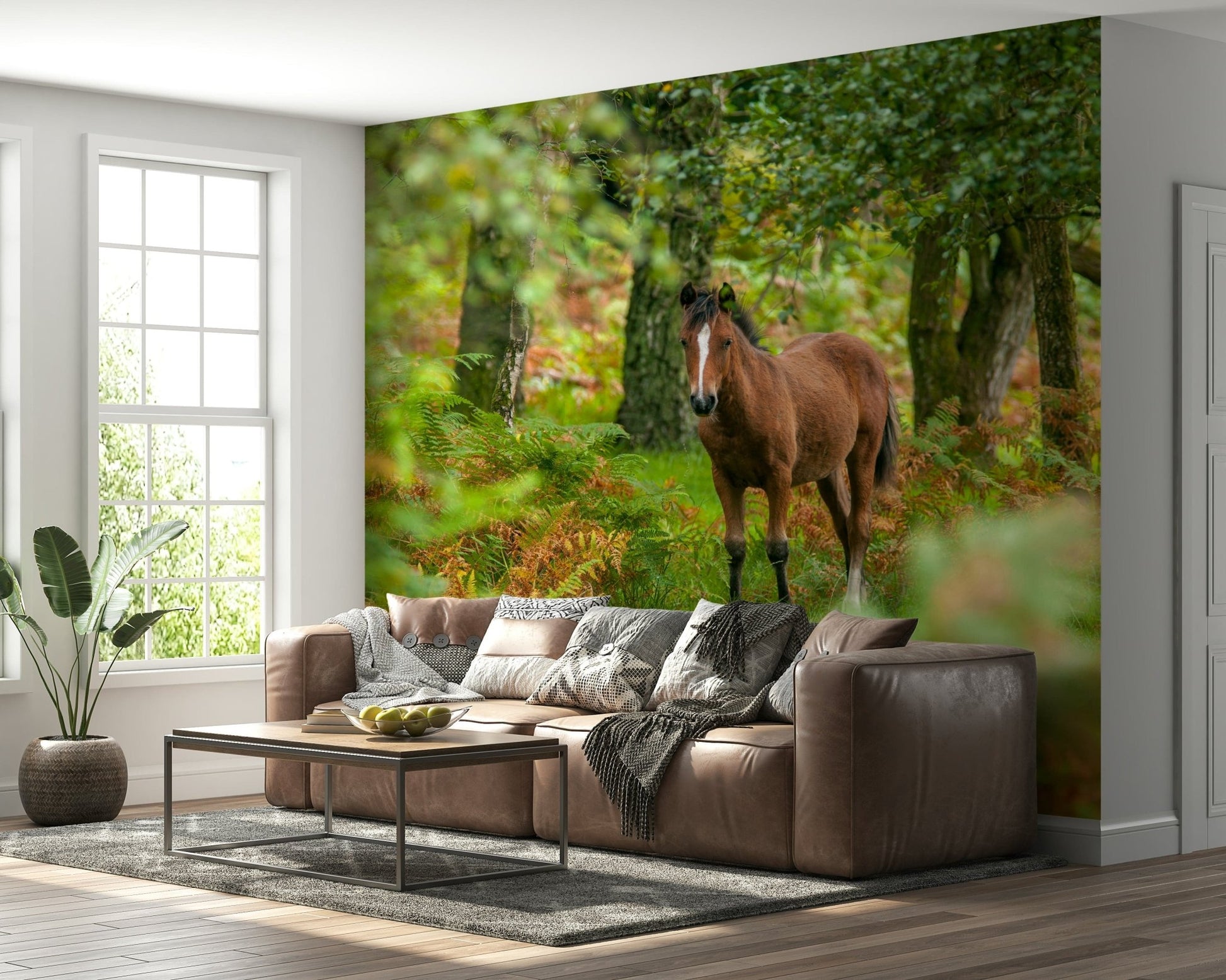 Nature inspired wallpaper New Forest Nomad woodland pony portrait printing.