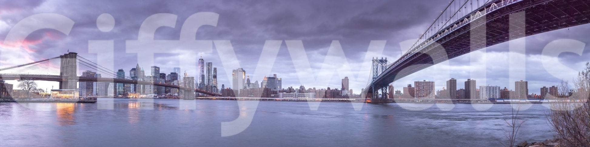 The image feels bold and contemporary.

