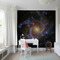 NGC Galaxy urban loft artistic wall mural design