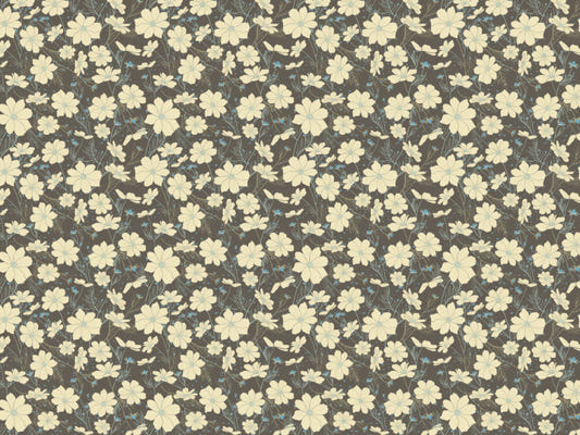 Cosmos Flower Gray Wallpaper
