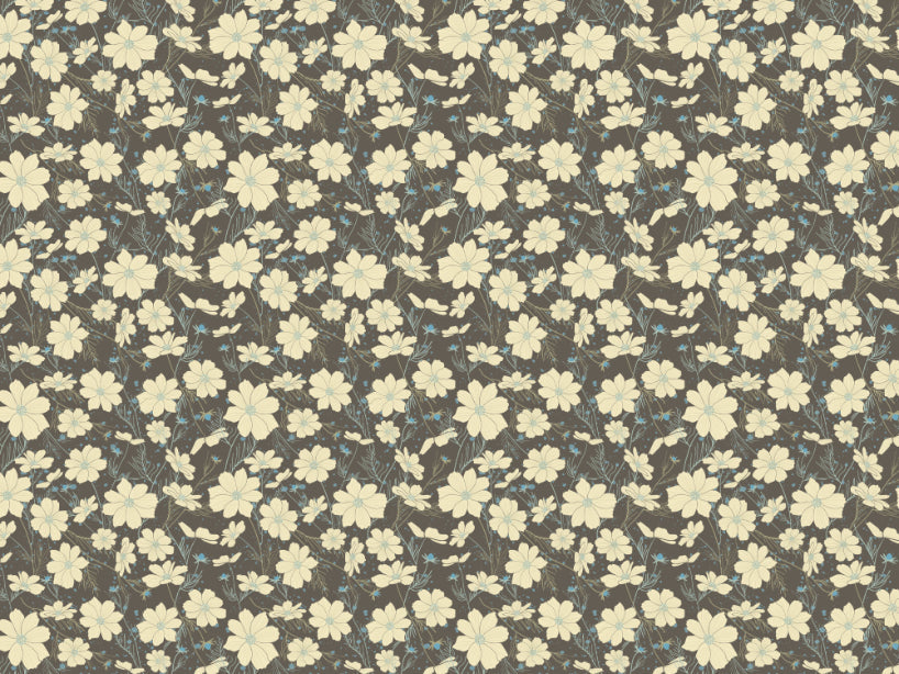 Cosmos Flower Gray Wallpaper
