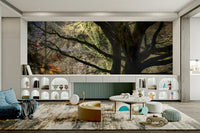 Tree silhouettes against a dark sky.

