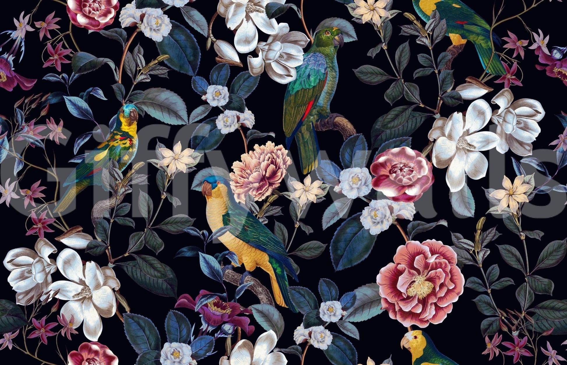 Nocturnal Paradise Wallpaper⁠