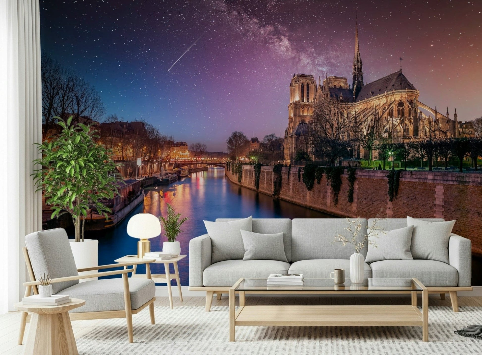Majestic Notre-Dame Starry Night wall mural Seine River view