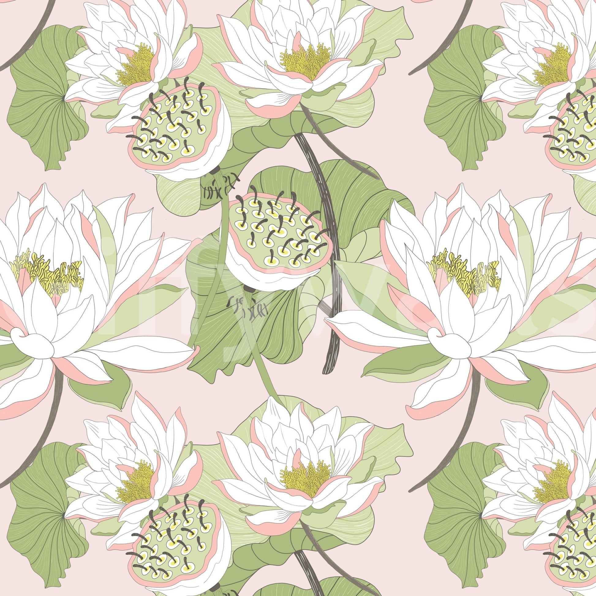 Nymphaea art wallpaper for walls








