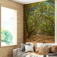 Old oak road mural wallpaper
