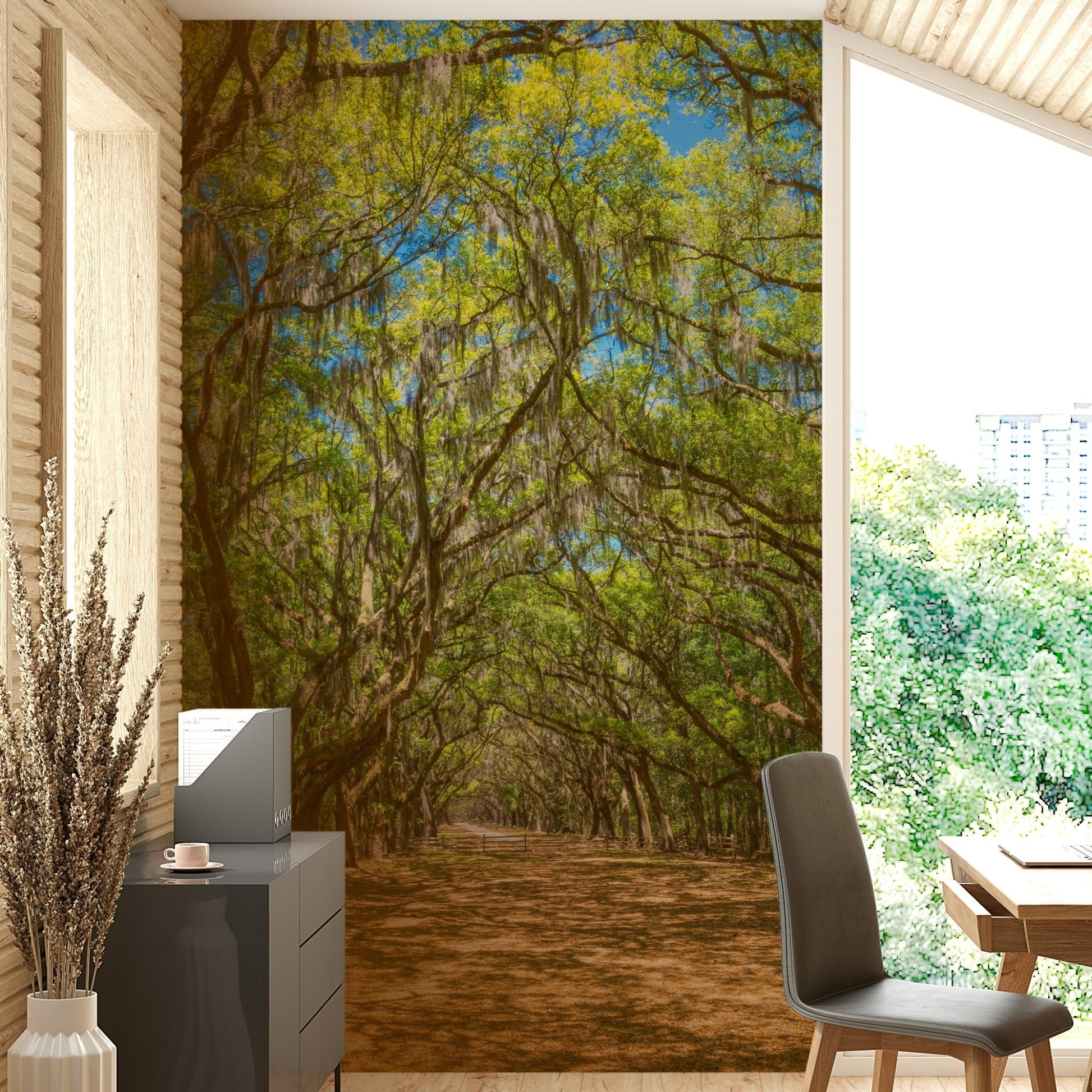 Shaded avenue wallpaper for walls
