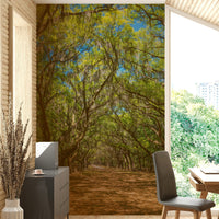 Shaded avenue wallpaper for walls
