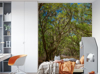 Natural oak canopy wallpaper
