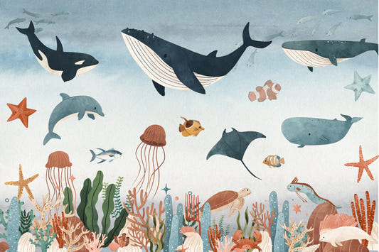 Underwater Paradise Kids Room Wallpaper