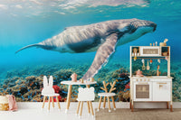 The overall feel is quiet and serene.

