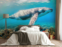 The image has a calm, tranquil mood.

