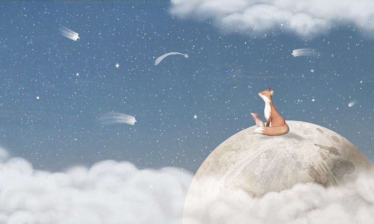 Fox On the Moon Blue Mural
