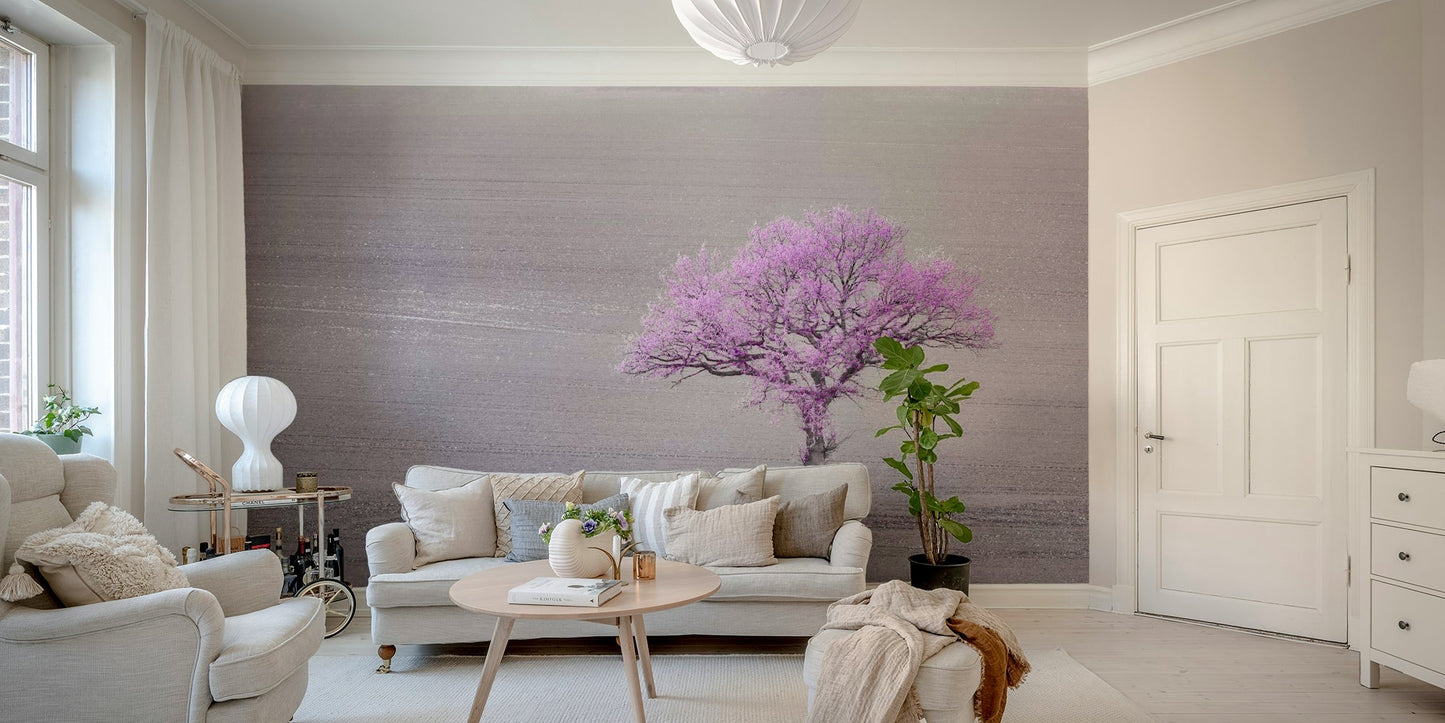 Delicate orchid flowers.

