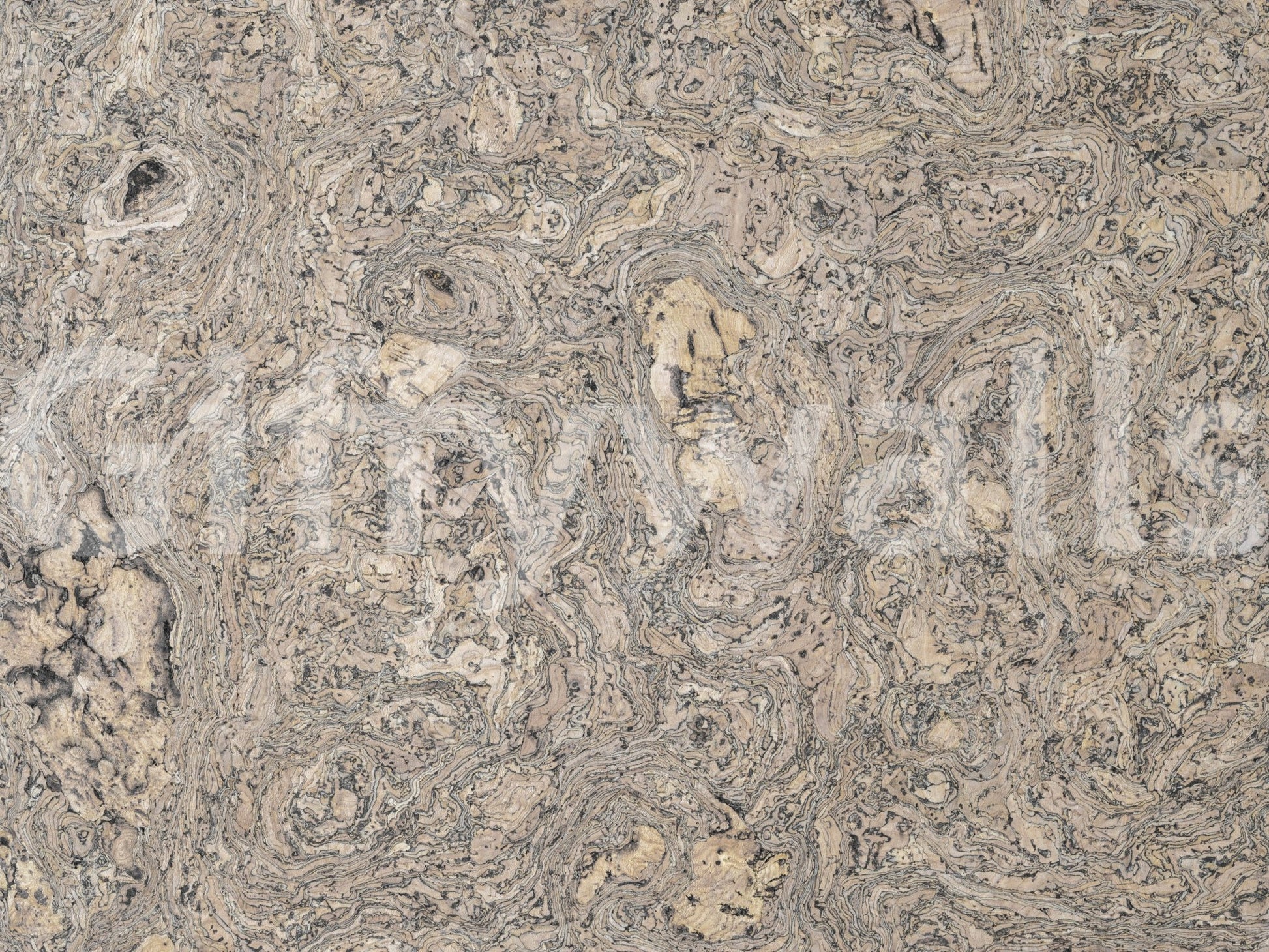 Abstract cork wood grain mural for wall decor