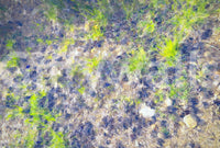 A harmonious statement piece for any home.

