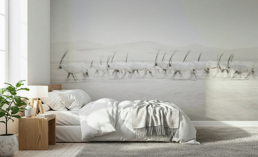 A beautiful desert oryx wallpaper mural with a subtle, mirage-like effect.