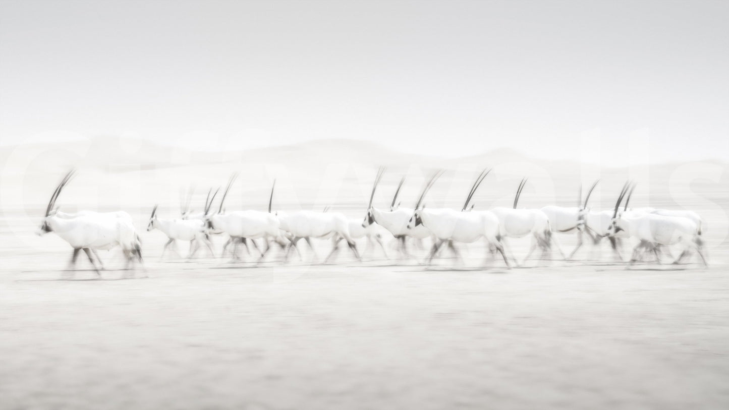 A high-quality abstract print wall mural for walls.