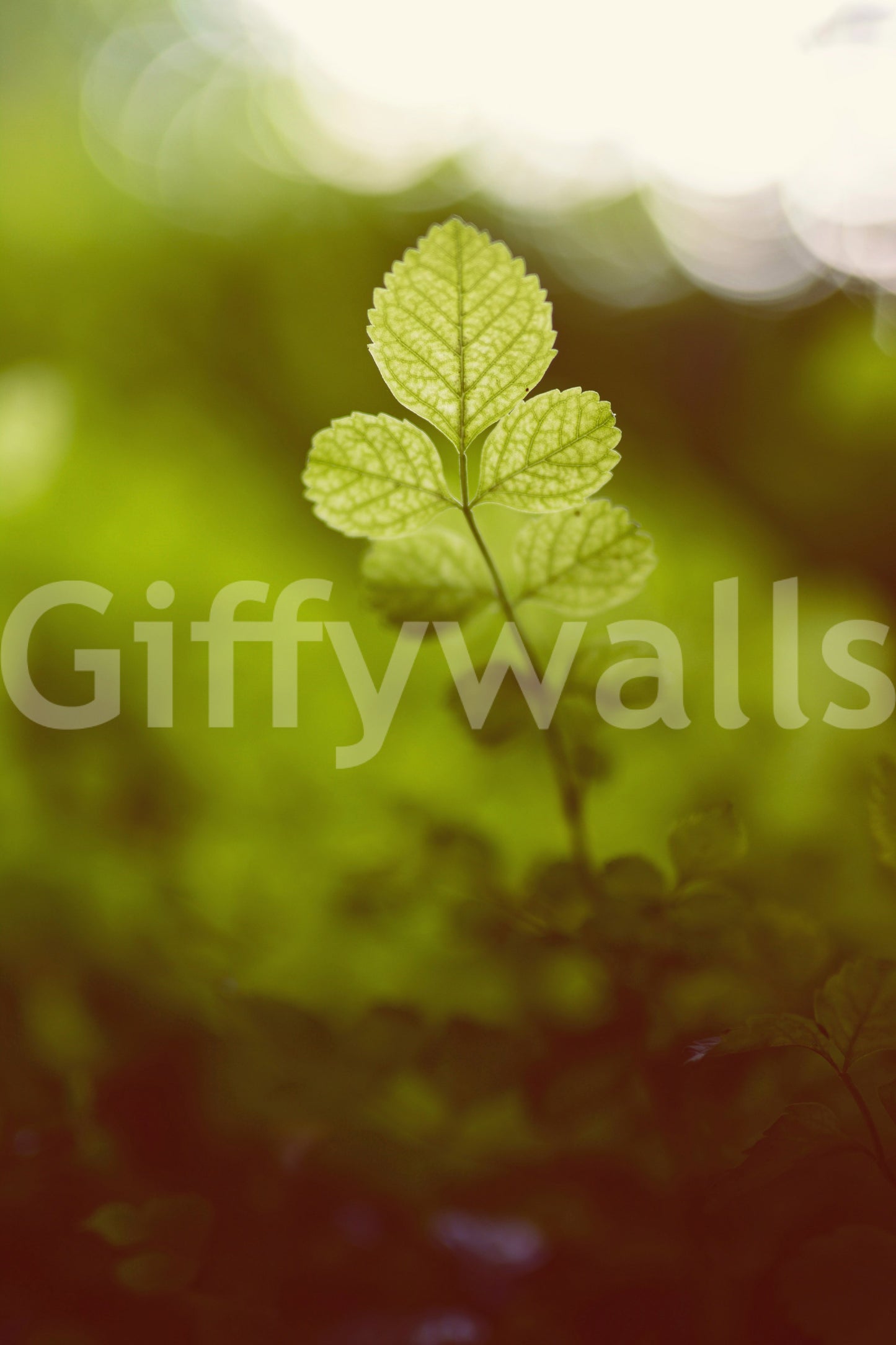 Out of the green Wall Mural