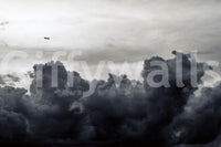Distant plane flies high above the dark clouds in this Over the Storm wall mural GD4783
