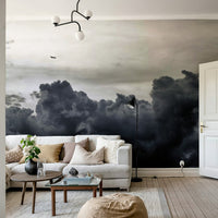 Heavy gray cloud sits below a lighter sky, a gray wall mural GD4783
