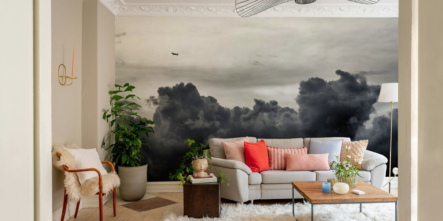 Overcast light falls on a churning storm cloud, an Over the Storm wall mural GD4783
