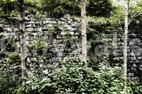 Artistic ruins wallpaper for a creative studio or professional workspace.