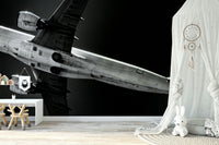A low-angle view of a jet soars across this wall mural GD4942
