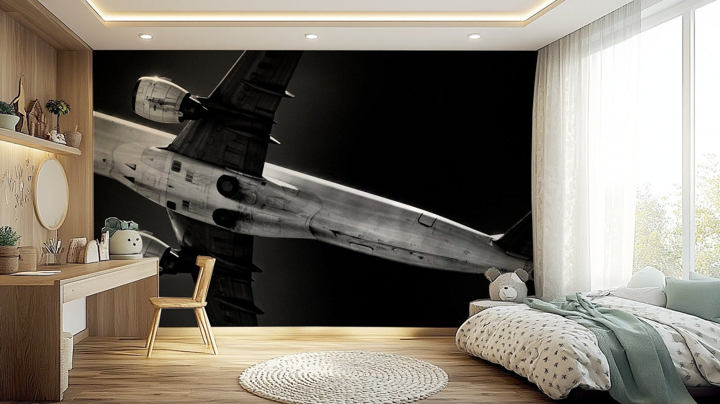 Overhead wall mural showing the underside of a jet plane in black and white GD4942
