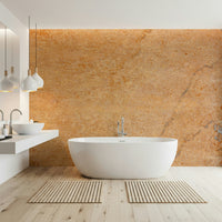 Texture and pattern of the weathered metal wallpaper mural on a large wall., GD6183