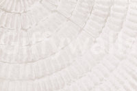 Corner of a hallway brightened by the soft Oyster Shell Echo wallpaper for walls.