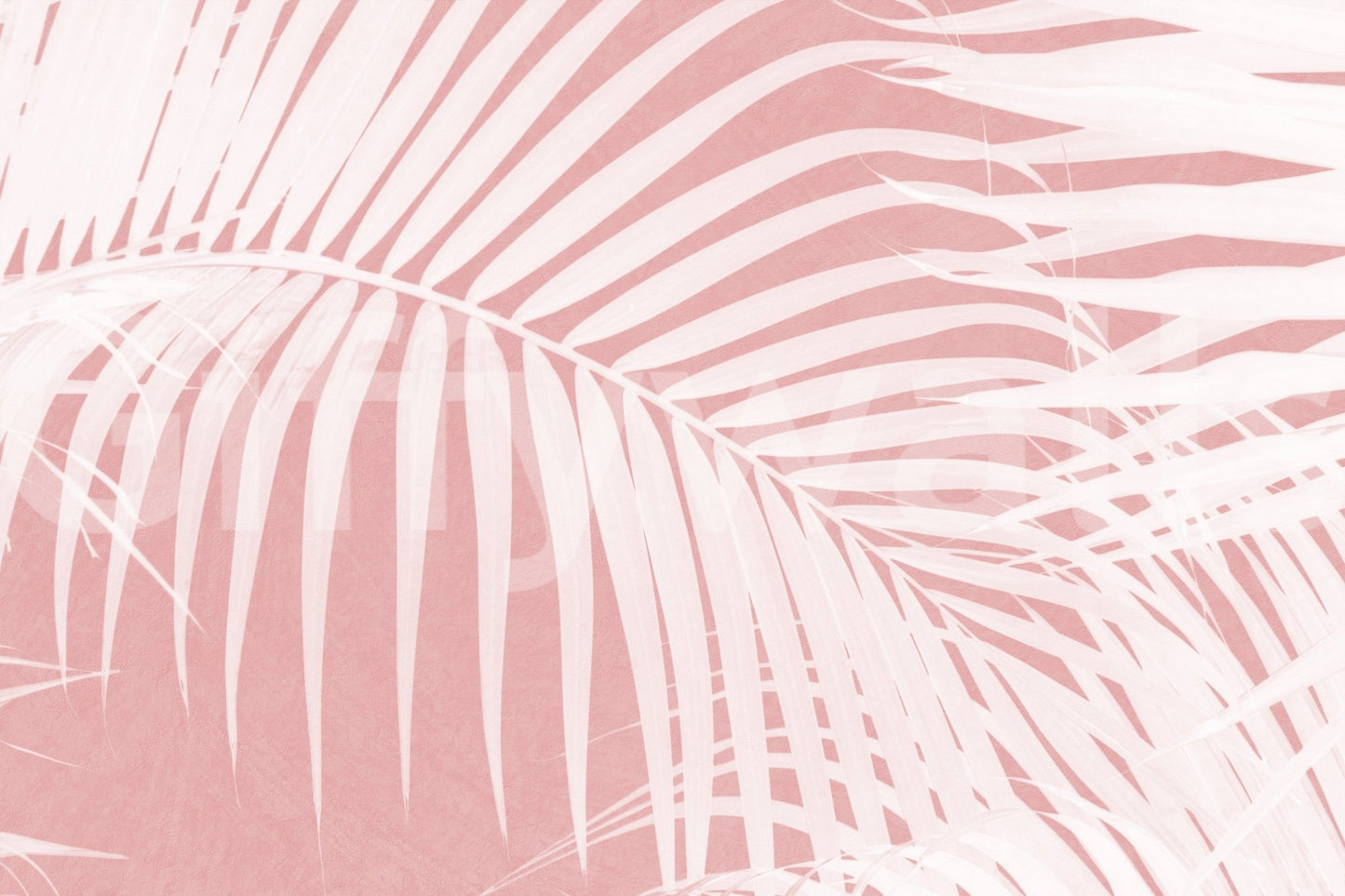 A high-quality serene leaf wall mural for walls.
