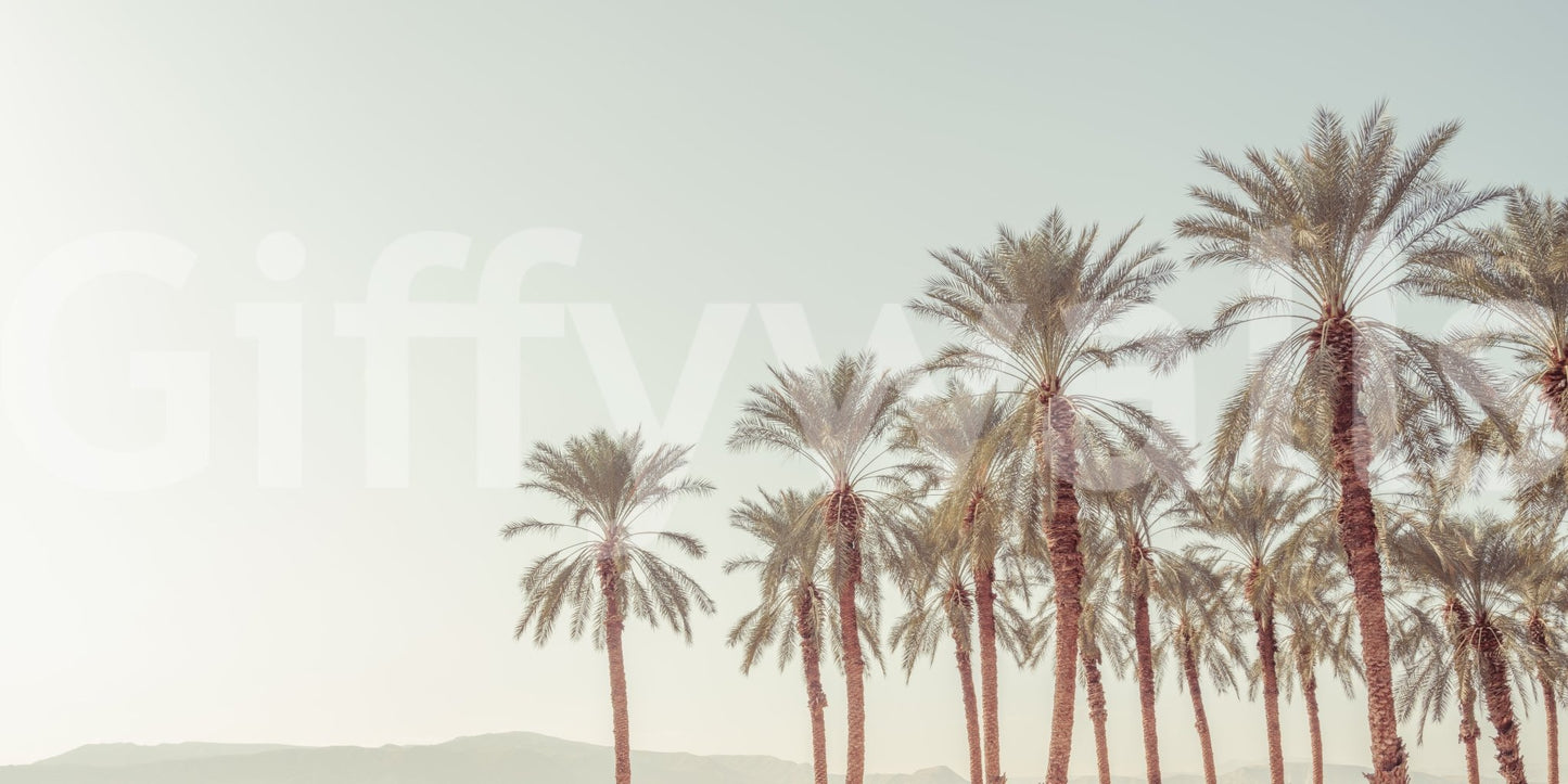 Breezy resort Palm Oasis Hues Wall Mural style wall art.