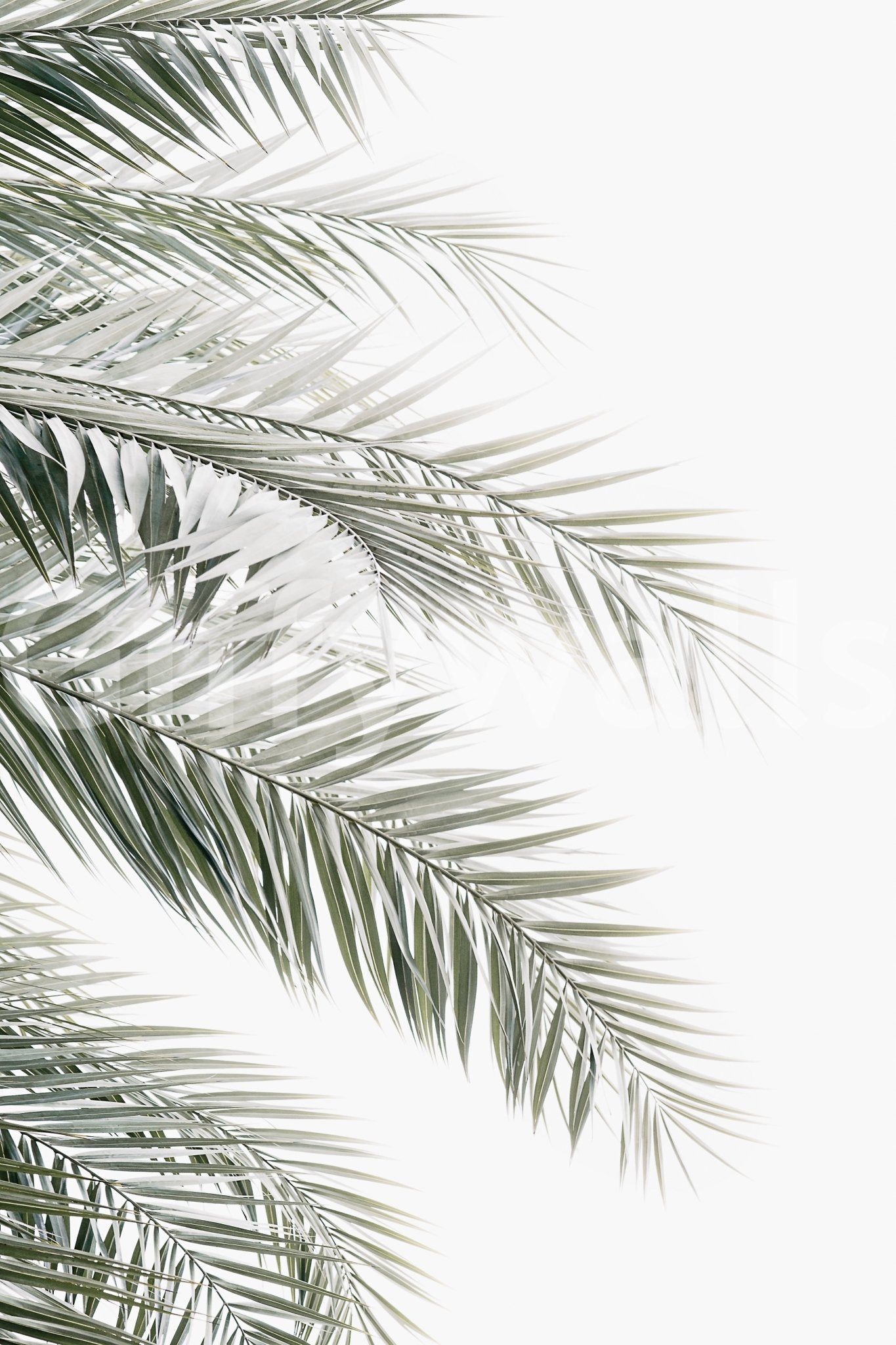 Organic design with a light and airy feel. GD2964
