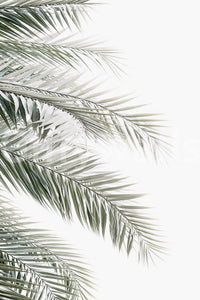 Organic design with a light and airy feel. GD2964

