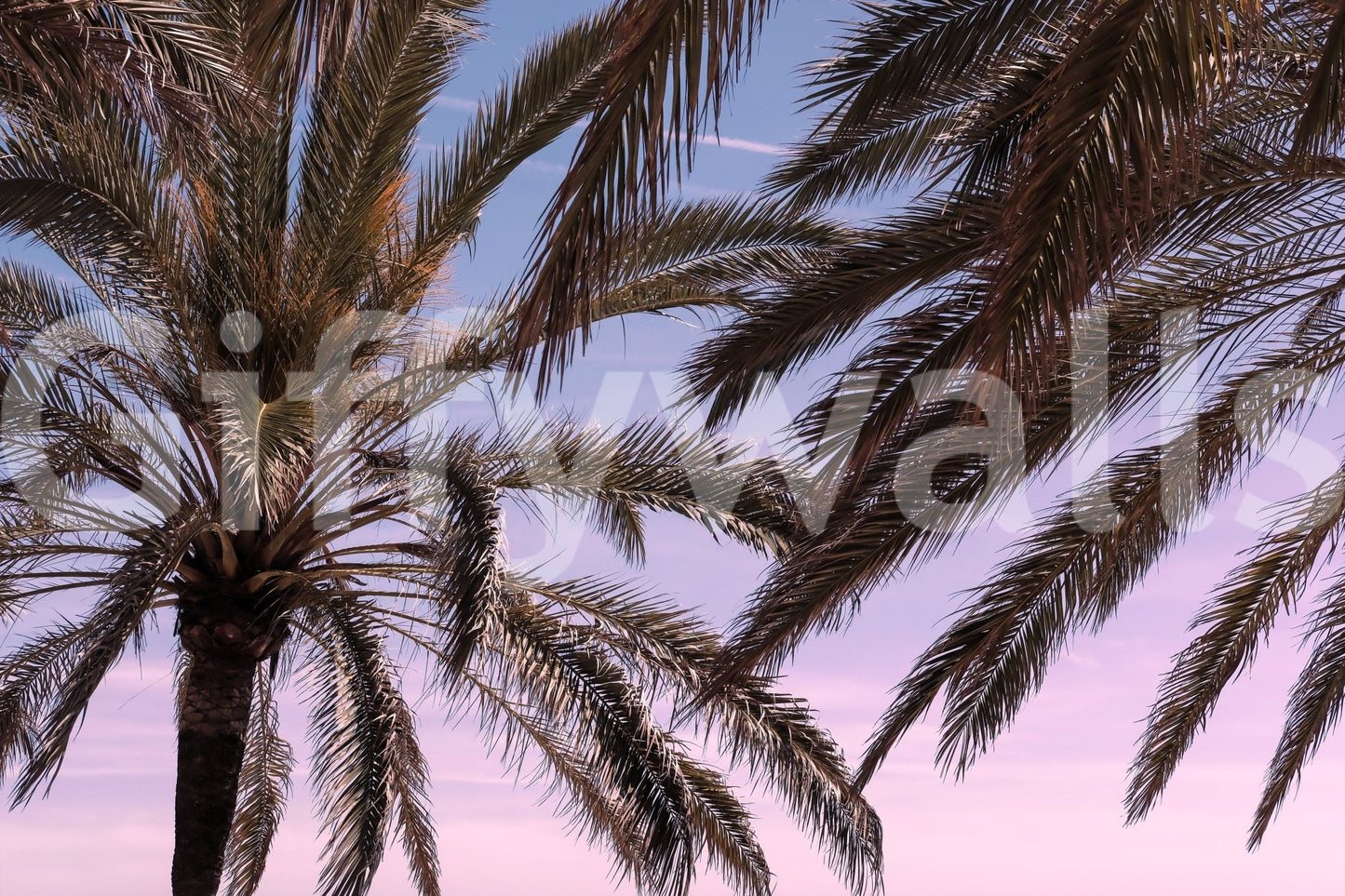 A calming serene view wallpaper mural that defines a space.