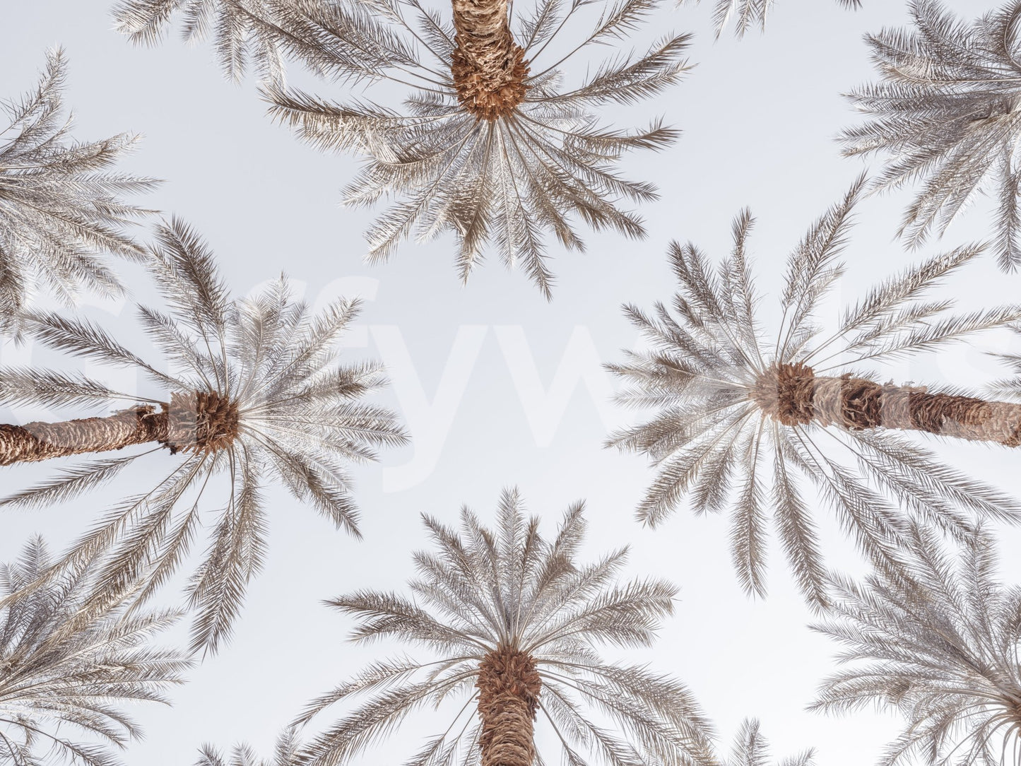 The design is non-realistic and interpretive.

