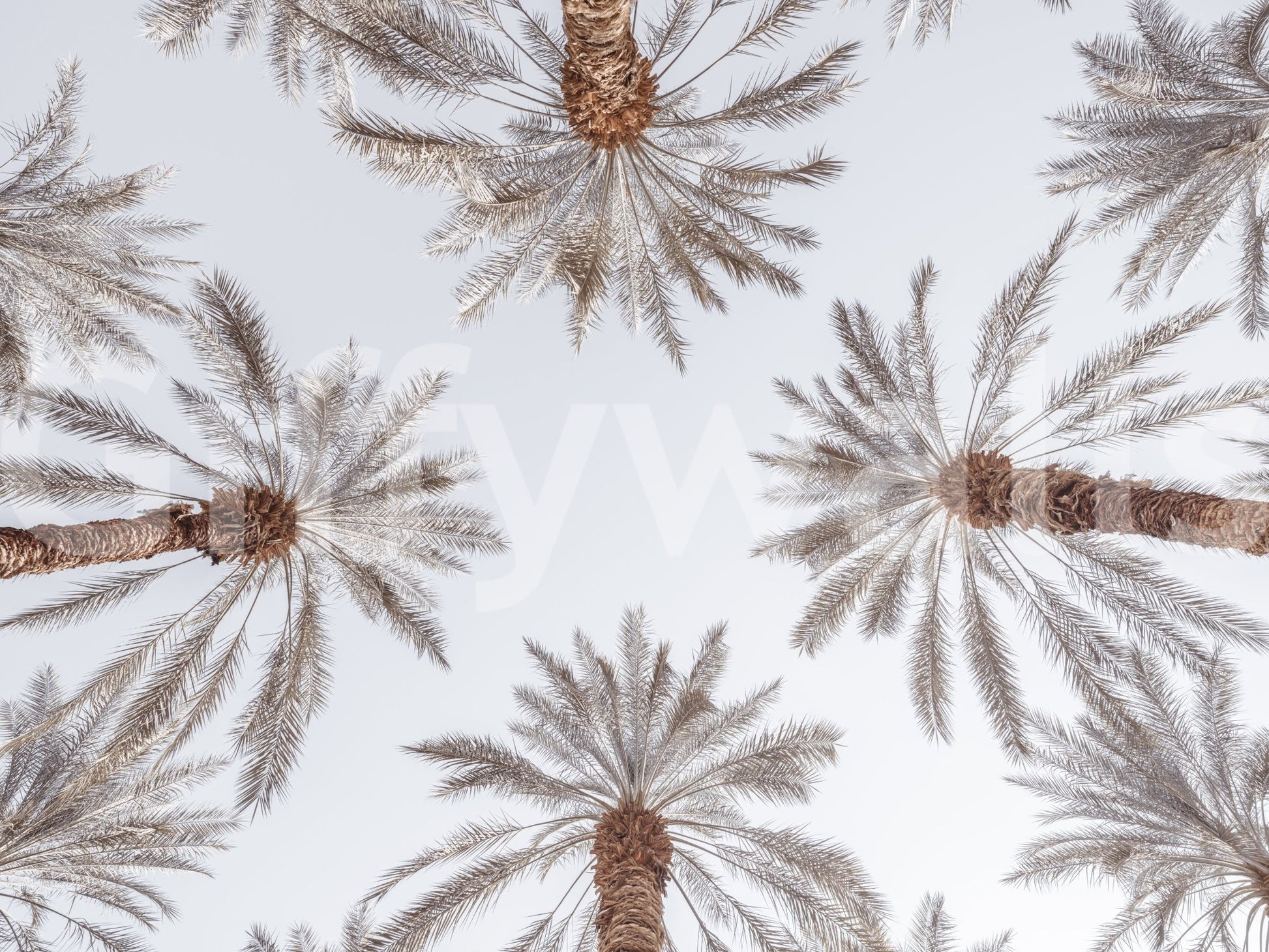 The design is non-realistic and interpretive.

