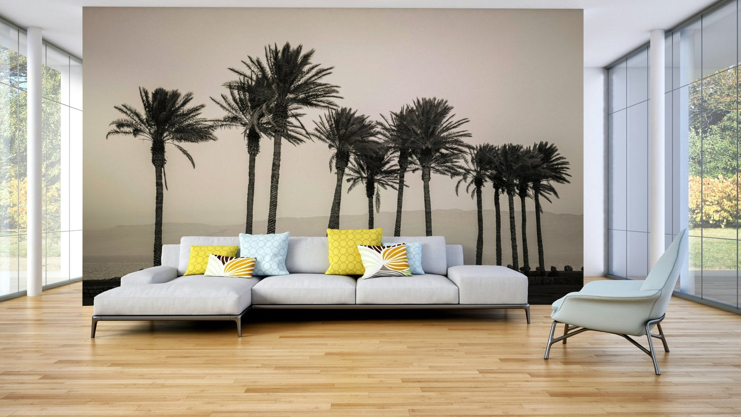Tall palm trees along the serene beach in a wall mural

