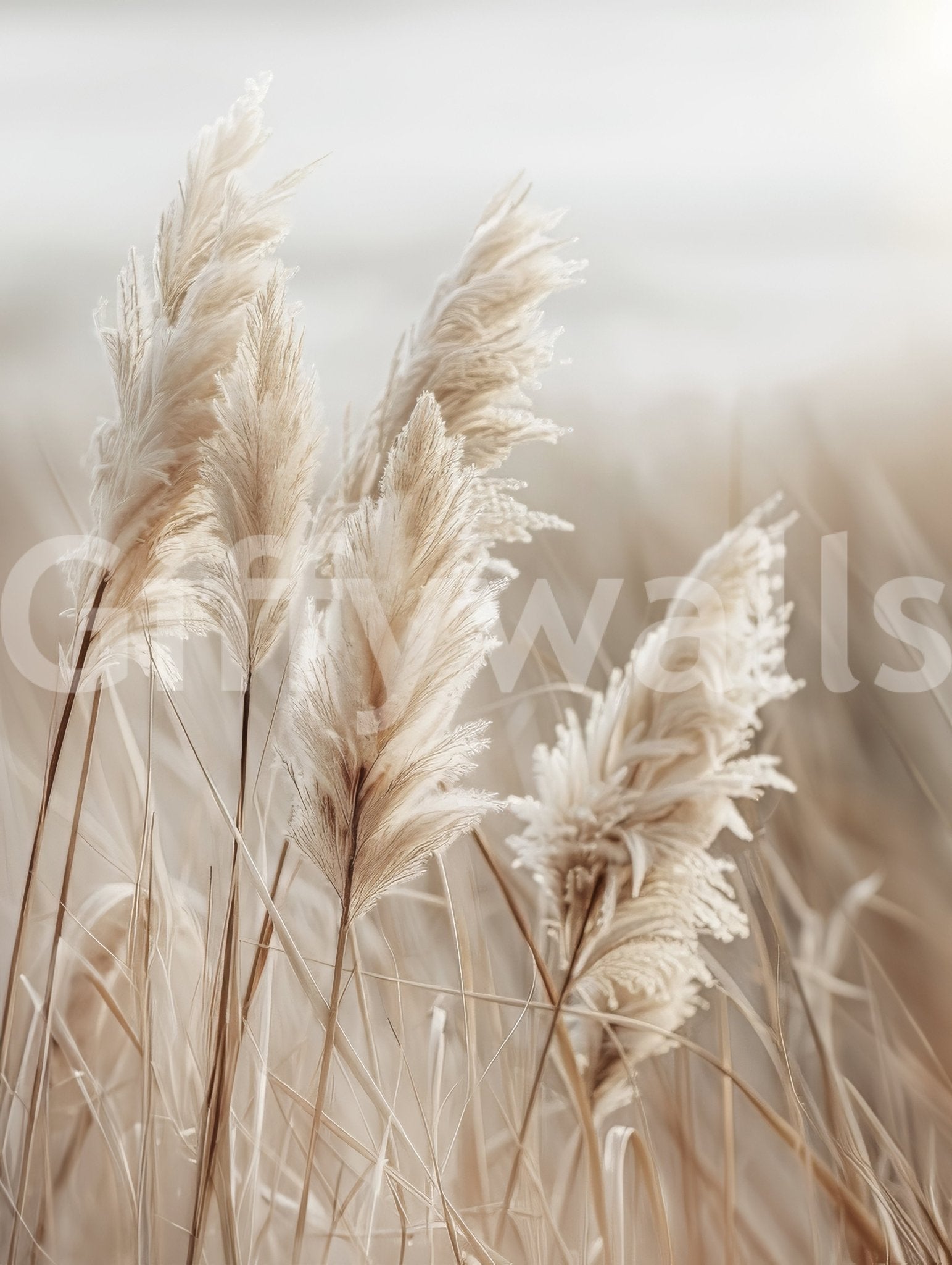 Soothing pampas grass by the sea wall mural décor

