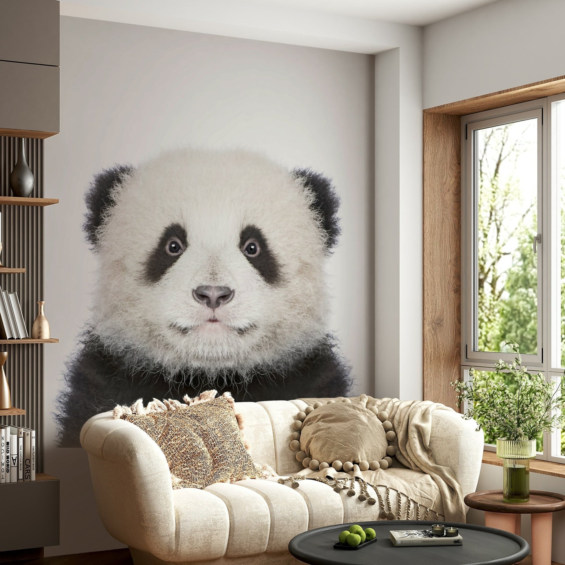 Young panda bear wildlife photo GD318

