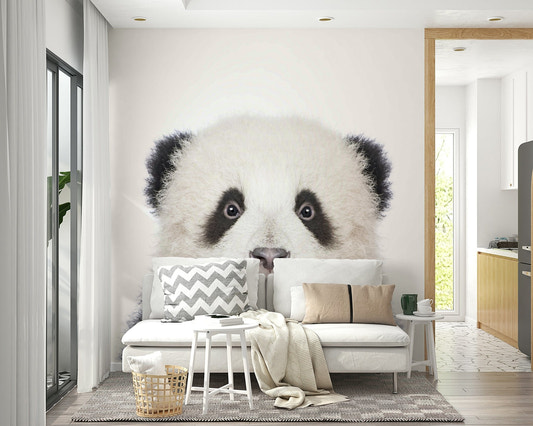 Close-up of cute baby panda face


