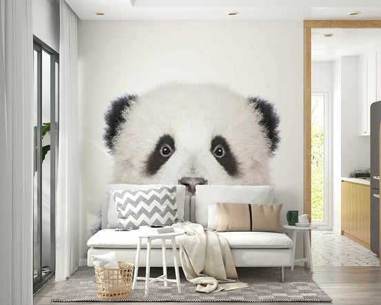 Close-up of cute baby panda face GD318

