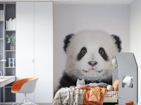 Giant panda cub on white background GD318

