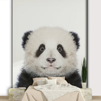 Black and white panda bear image GD318

