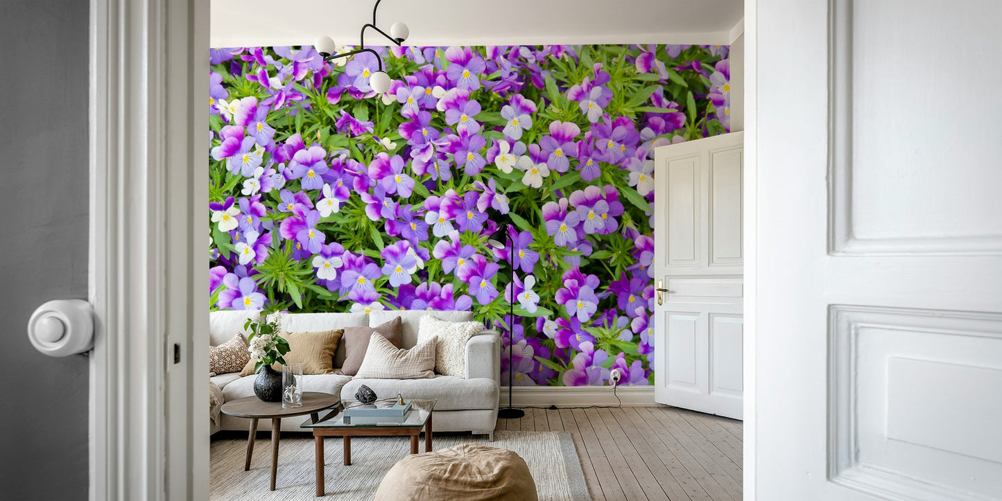 Wall mural with blooming violet and lavender pansies
