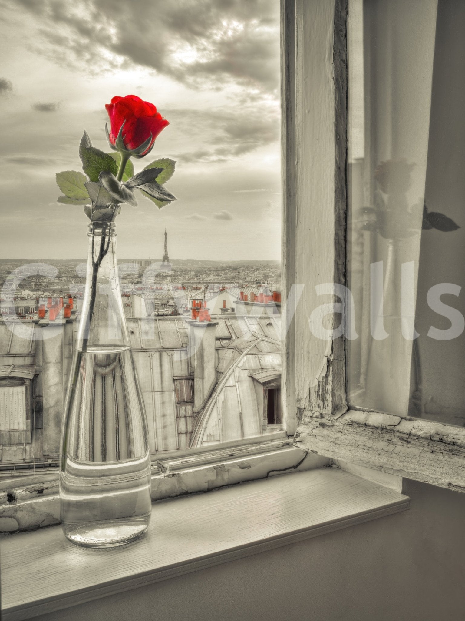 Parisian Bloom mural with muted background and red bloom detail, GD8769