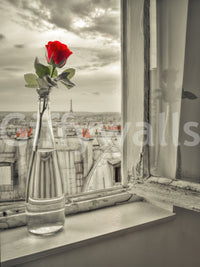 Parisian Bloom mural with muted background and red bloom detail, GD8769